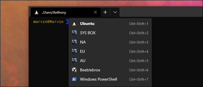 كيفية إعداد ملف تعريف SSH مخصص في محطة Windows - | اخبار مصر مباشر كيفية إعداد ملف تعريف SSH مخصص في محطة Windows - CloudSavvy IT