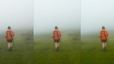 صورة الفرق بين التشبع والتشبع في Photoshop Lightroom