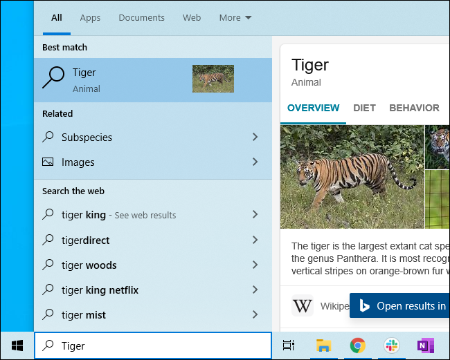 يمكن أن يعرض بحث Bing معلومات حول النمور في قائمة 