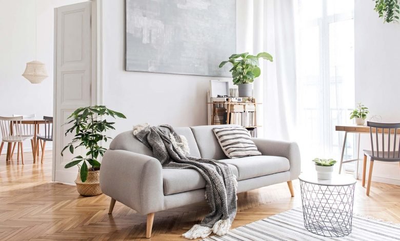 A brightly lit living room decorated with modern furniture and plants.