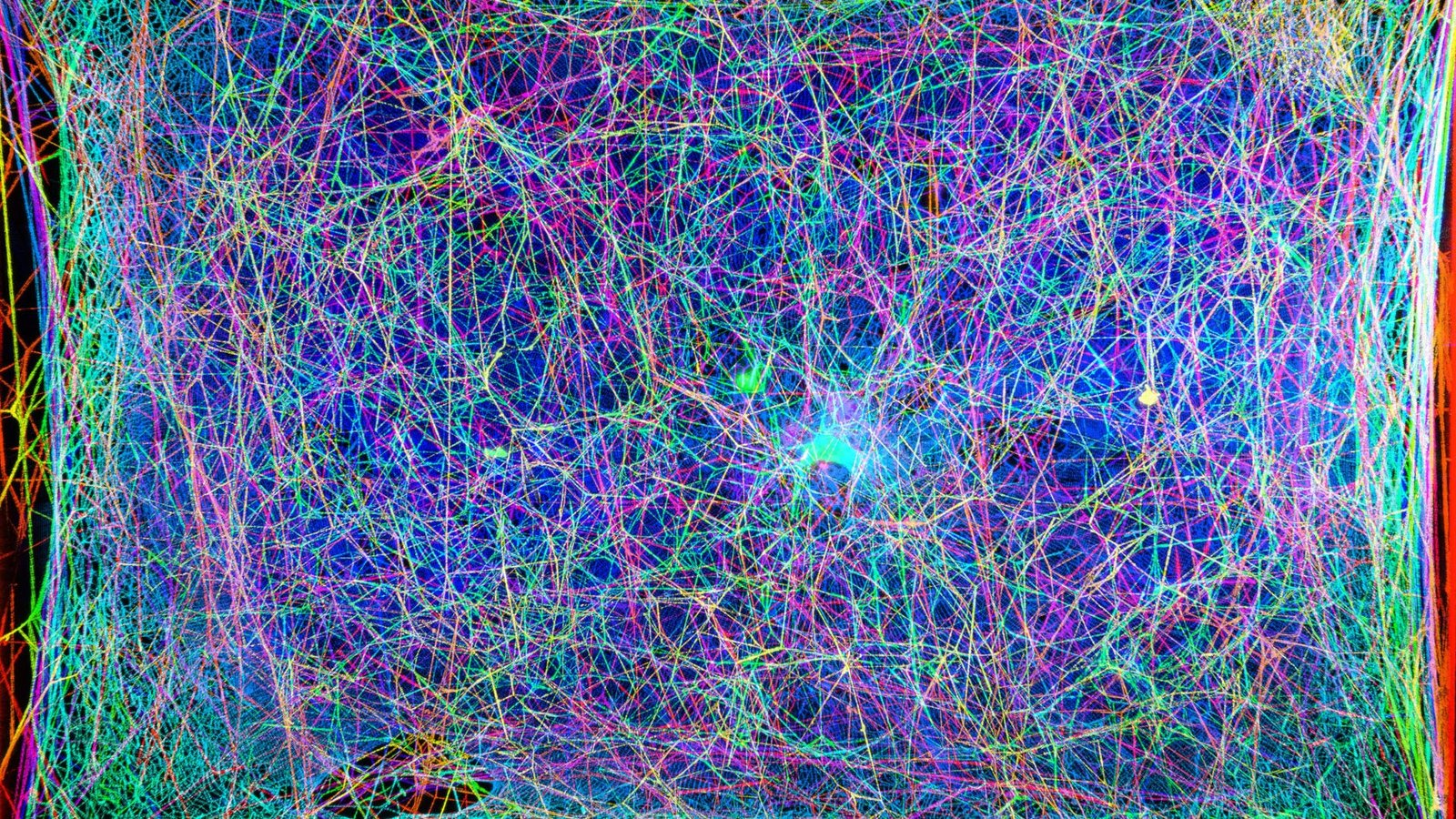 A cross section of an intricate spiderweb shows in various colors