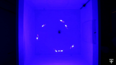 صورة يقوم العلماء بتعليم سمكة الروبوت كيفية السرب ، مما قد يؤدي إلى تحسين السيارات ذاتية القيادة – Comment Geek