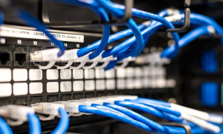 Photo of Ethernet cables in a server