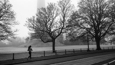 صورة ما هو تباين التصوير وكيفية استخدامه؟