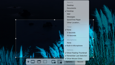 صورة كيفية عمل تسجيلات الشاشة على نظام Mac