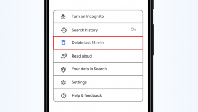 صورة كيفية حذف سجل بحث Google في آخر 15 دقيقة