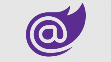 صورة كيفية تصنيف طلبات الحد في Blazor / ASP.Web Core – CloudSavvy IT