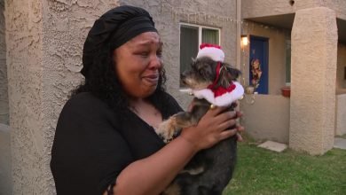 صورة لم شمل امرأة من ولاية أريزونا مع كلب عثر عليه في صحراء كاليفورنيا بعد عامين